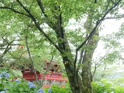 楽法寺（雨引観音）(茨城県)
