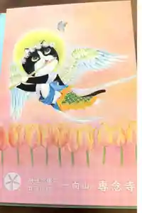 専念寺の御朱印帳2025-05-12 00:00:00 +0900