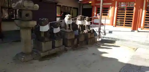 大隅神社の狛犬