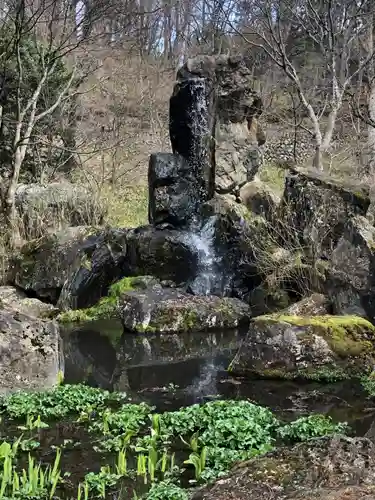 青龍山 吉祥寺の庭園