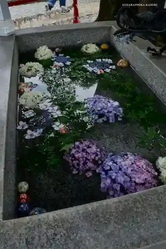 蛇窪神社の手水舎