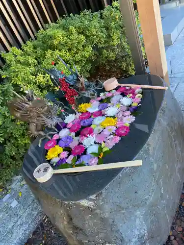 駒込妙義神社の{uncategorized: "未分類", other: "その他", undefined: "問題あり", building: "その他建物", grave: "お墓", sacred_gate: "鳥居", guardian: "狛犬", statue: "像", buddha: "仏像", history: "歴史", nature: "自然", garden: "庭園", animal: "動物", pagoda: "塔", temizu: "手水舎", mountain_gate: "山門・神門", sanctuary: "本殿・本堂", subordinate: "末社・摂社", art: "芸術", scenery: "景色", jizo: "地蔵", ema: "絵馬", goshuin: "御朱印", omikuji: "おみくじ", items: "授与品その他", amulet: "お守り", goshuincho: "御朱印帳", eats: "食事", festival: "お祭り", votive_dance: "神楽", shichigosan: "七五三参", wedding: "結婚式", experience: "体験その他", initially: "初詣", around: "周辺", anti_infection: "感染症対策"}