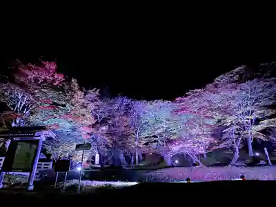 土津神社｜こどもと出世の神さま(福島県)