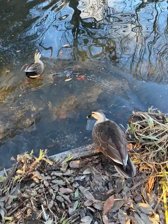 乃木神社(栃木県)