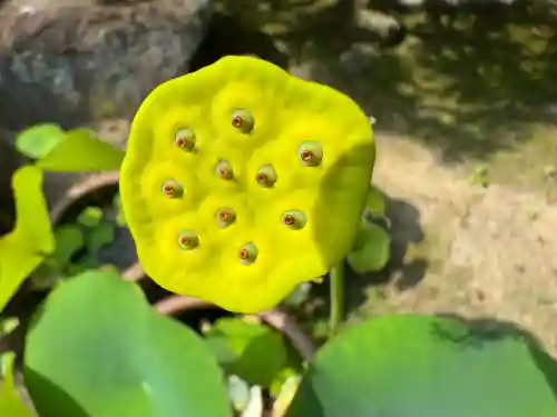 伊勢の国 四天王寺(三重県)