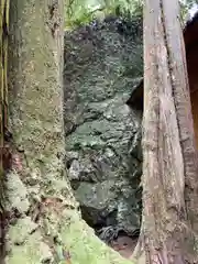 河上神社の自然