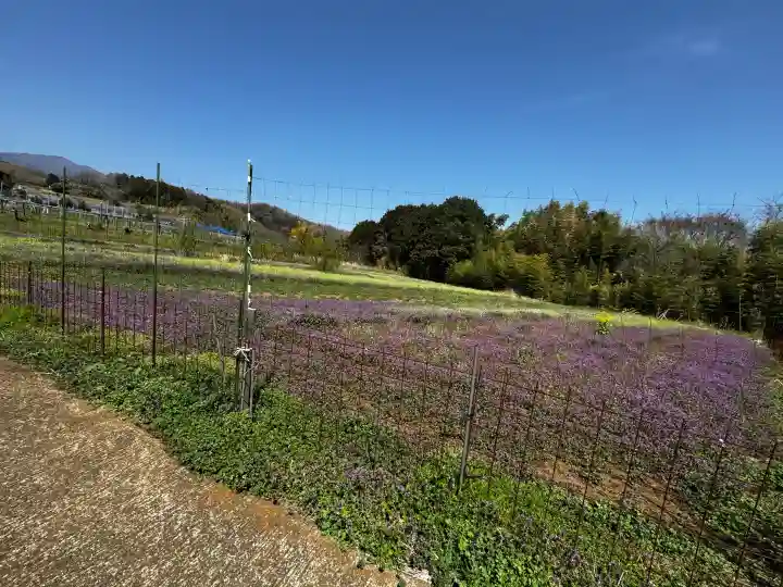 比々多神社の{uncategorized: "未分類", other: "その他", undefined: "問題あり", building: "その他建物", grave: "お墓", sacred_gate: "鳥居", guardian: "狛犬", statue: "像", buddha: "仏像", history: "歴史", nature: "自然", garden: "庭園", animal: "動物", pagoda: "塔", temizu: "手水舎", mountain_gate: "山門・神門", sanctuary: "本殿・本堂", subordinate: "末社・摂社", art: "芸術", scenery: "景色", jizo: "地蔵", ema: "絵馬", goshuin: "御朱印", omikuji: "おみくじ", items: "授与品その他", amulet: "お守り", goshuincho: "御朱印帳", eats: "食事", festival: "お祭り", votive_dance: "神楽", shichigosan: "七五三参", wedding: "結婚式", experience: "体験その他", initially: "初詣", around: "周辺", anti_infection: "感染症対策"}