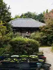 不退寺の本殿