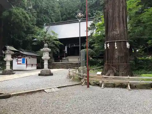 河口浅間神社の建物その他