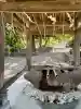 熊野神社の{uncategorized: "未分類", other: "その他", undefined: "問題あり", building: "その他建物", grave: "お墓", sacred_gate: "鳥居", guardian: "狛犬", statue: "像", buddha: "仏像", history: "歴史", nature: "自然", garden: "庭園", animal: "動物", pagoda: "塔", temizu: "手水舎", mountain_gate: "山門・神門", sanctuary: "本殿・本堂", subordinate: "末社・摂社", art: "芸術", scenery: "景色", jizo: "地蔵", ema: "絵馬", goshuin: "御朱印", omikuji: "おみくじ", items: "授与品その他", amulet: "お守り", goshuincho: "御朱印帳", eats: "食事", festival: "お祭り", votive_dance: "神楽", shichigosan: "七五三参", wedding: "結婚式", experience: "体験その他", initially: "初詣", around: "周辺", anti_infection: "感染症対策"}