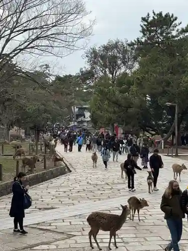 東大寺(奈良県)