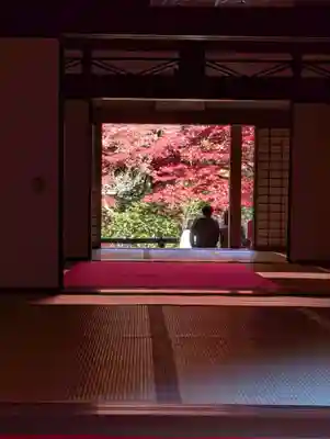 金剛輪寺(滋賀県)