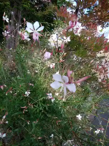 相馬妙見宮　大上川神社の自然