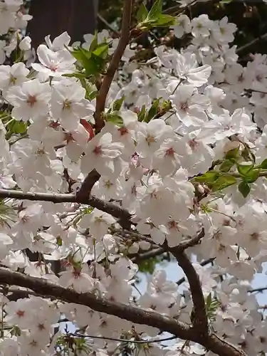 生田神社(兵庫県)