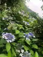 石内のお大師さん 金剛院(広島県)