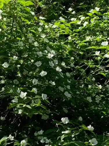 雲巌寺(栃木県)