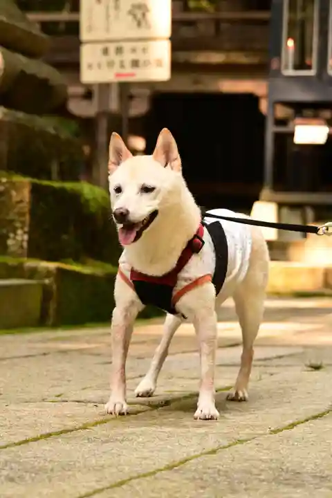 宝積山光前寺(長野県)