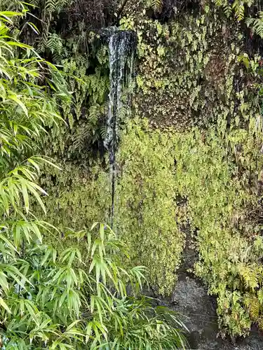 銭洗弁財天宇賀福神社(神奈川県)