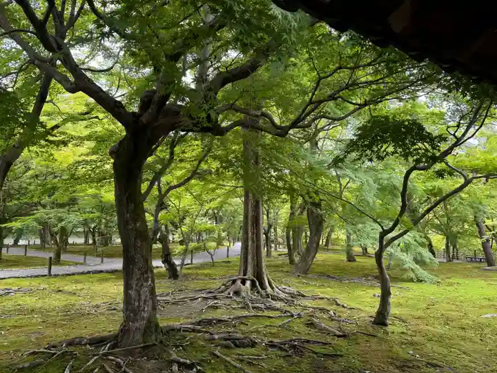 東福禅寺(東福寺)(京都府)