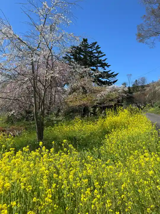 曹洞宗 永松山 龍泉寺(福島県)