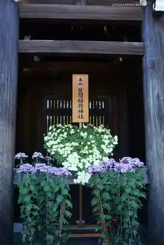 明治神宮(東京都)