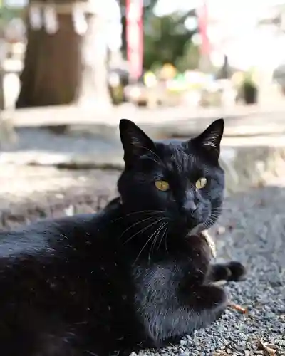 高司神社〜むすびの神の鎮まる社〜(福島県)