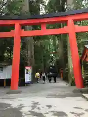 箱根神社の鳥居