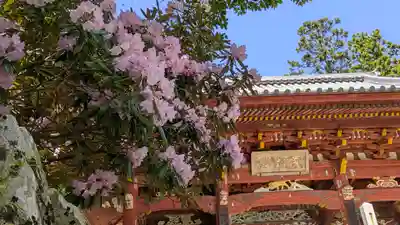 成相寺(京都府)