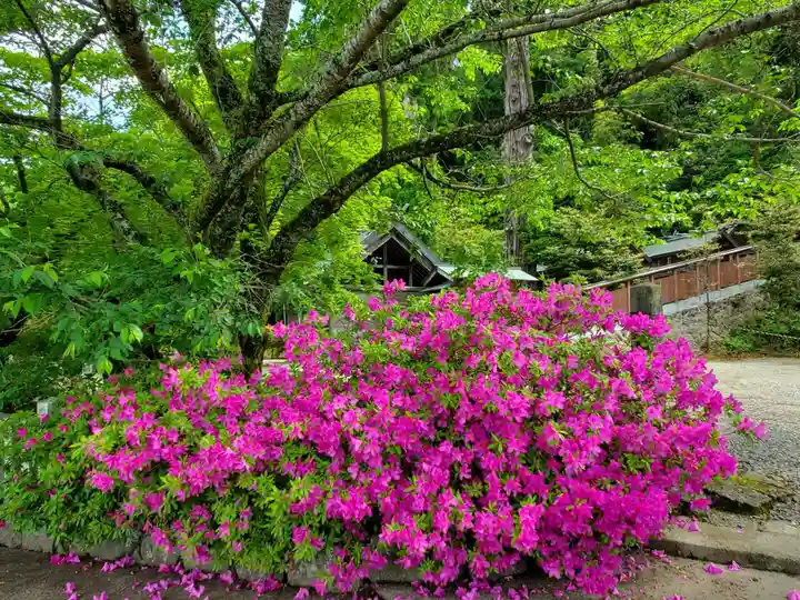 中尾神社の自然