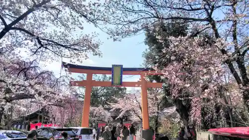 平野神社の鳥居