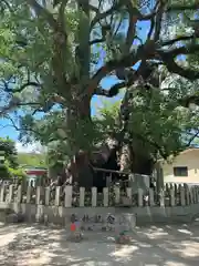 宇美八幡宮(福岡県)