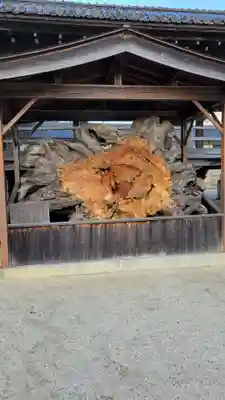 本山専修寺(三重県)