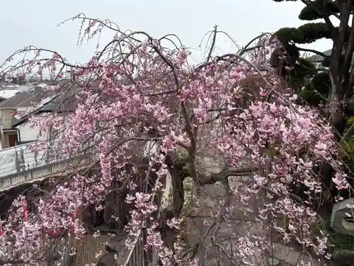 不動寺(大阪府)