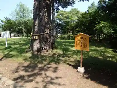 女満別神社のその他建物