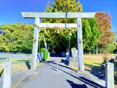 熊野社（塔野地東屋敷）の鳥居