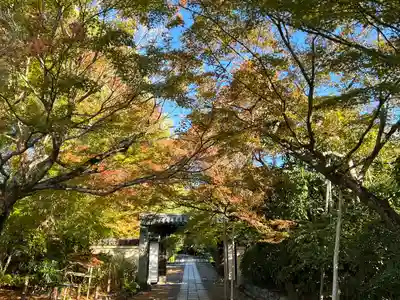 龍安寺(京都府)