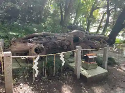 泉神社(茨城県)