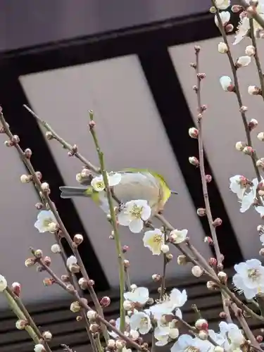 熊野神社(東京都)