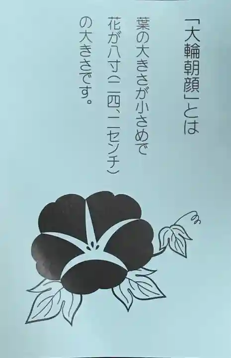 牛天神北野神社の授与品その他