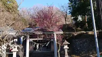 賀茂別雷神社のその他建物