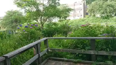玉性院の庭園