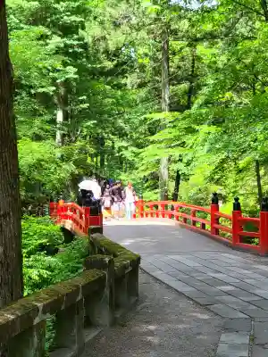 榛名神社の{uncategorized: "未分類", other: "その他", undefined: "問題あり", building: "その他建物", grave: "お墓", sacred_gate: "鳥居", guardian: "狛犬", statue: "像", buddha: "仏像", history: "歴史", nature: "自然", garden: "庭園", animal: "動物", pagoda: "塔", temizu: "手水舎", mountain_gate: "山門・神門", sanctuary: "本殿・本堂", subordinate: "末社・摂社", art: "芸術", scenery: "景色", jizo: "地蔵", ema: "絵馬", goshuin: "御朱印", omikuji: "おみくじ", items: "授与品その他", amulet: "お守り", goshuincho: "御朱印帳", eats: "食事", festival: "お祭り", votive_dance: "神楽", shichigosan: "七五三参", wedding: "結婚式", experience: "体験その他", initially: "初詣", around: "周辺", anti_infection: "感染症対策"}