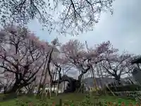 実相寺(山梨県)