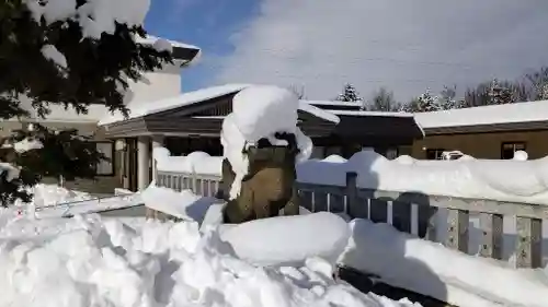 美瑛神社の狛犬