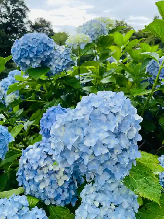 岩津天満宮(愛知県)