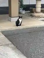 白金氷川神社(東京都)
