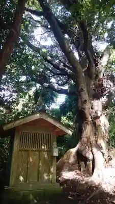 尾嶌宮の末社・摂社