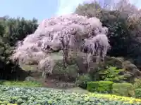 最勝寺(神奈川県)