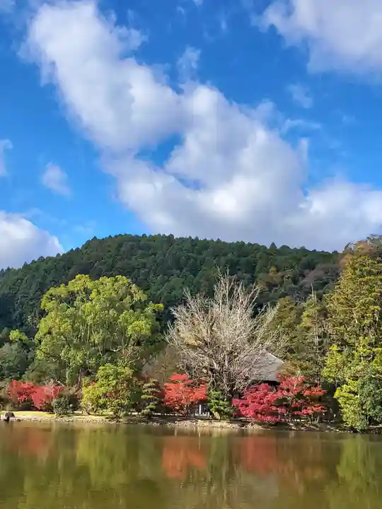 白水阿弥陀堂の庭園