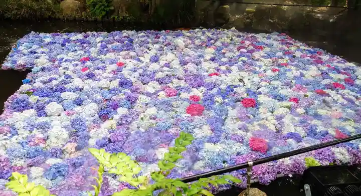 楽法寺(雨引観音)(茨城県)